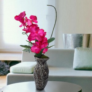 Laura Ashley Fuchsia Orcid