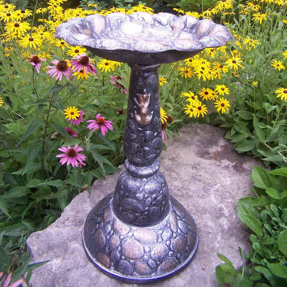 Bird Bath