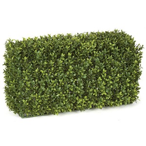 How to Create a Perfectly Manicured Boxwood Hedge