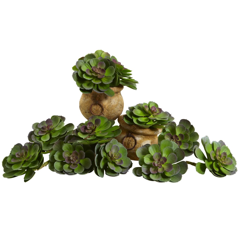 Artificial Succulents