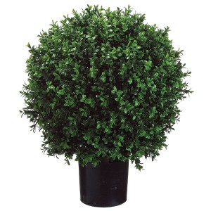 Boxwood Ball