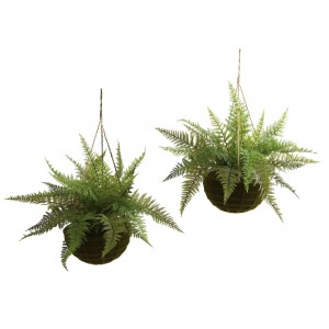 18-inch Outdoor Leather Fern