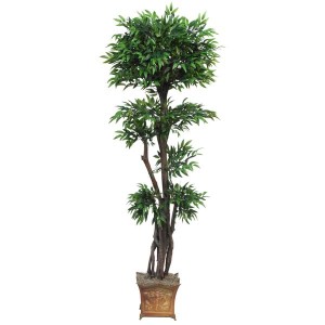 5 Foot Tropical Ruscus Topiary