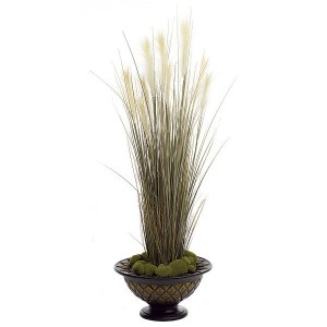 58 Inch Plume Grass