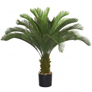 Laura Ashley 4 Foot Cycas Palm