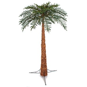 Christmas Palm 2