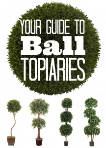 Your Guide to Ball Topiaries