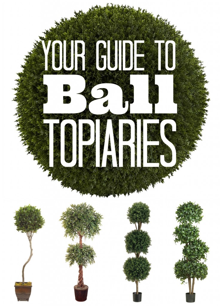 Guide to Ball Topiaries