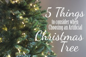 5 Things to Consider When Choosing a Christmas Tree