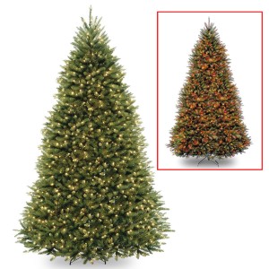 A Closer Look at Christmas Trees with Color-Changing Lights