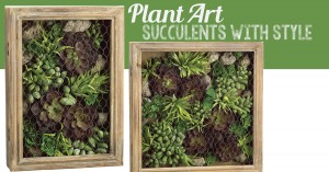 Plant Art: Succulents with Style