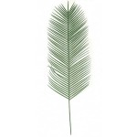 Palm Sunday