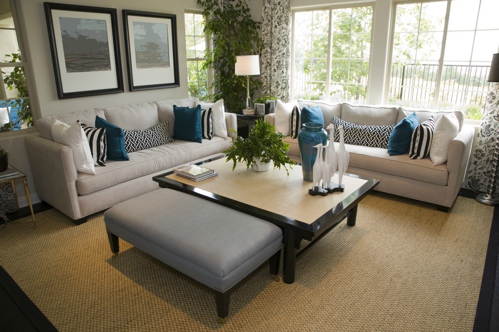 Staged Living Room