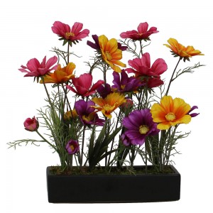 Wild Coreopsis Held in Black Tray