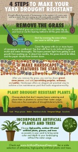 4 Ways to Make Your Yard Drought Resistant (Infographic)