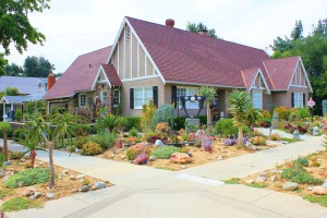 4 Tips for Creating a Drought Tolerant Yard