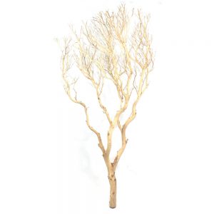 Manzanita Branches