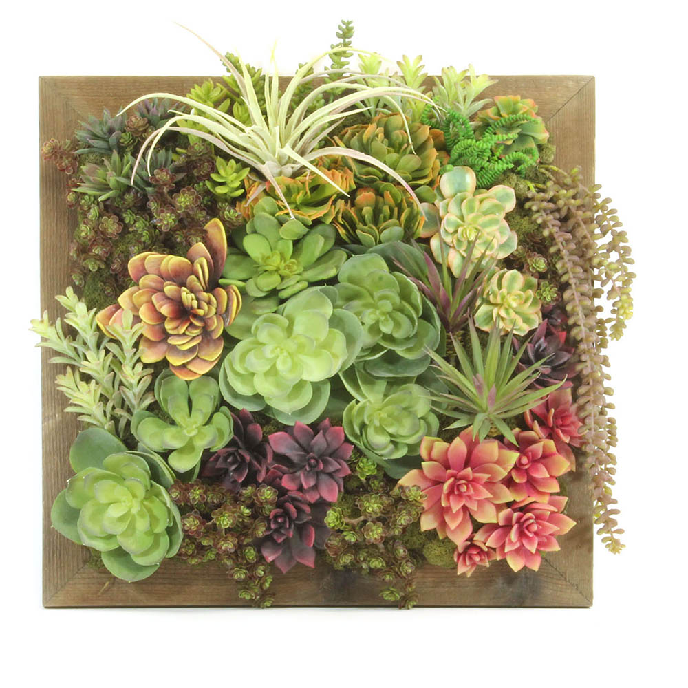 Succulent Wall Garden