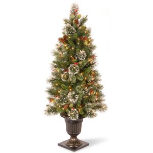 potted-christmas-tree