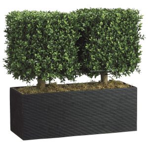 The Different Shapes and Sizes of Artificial Topiaries