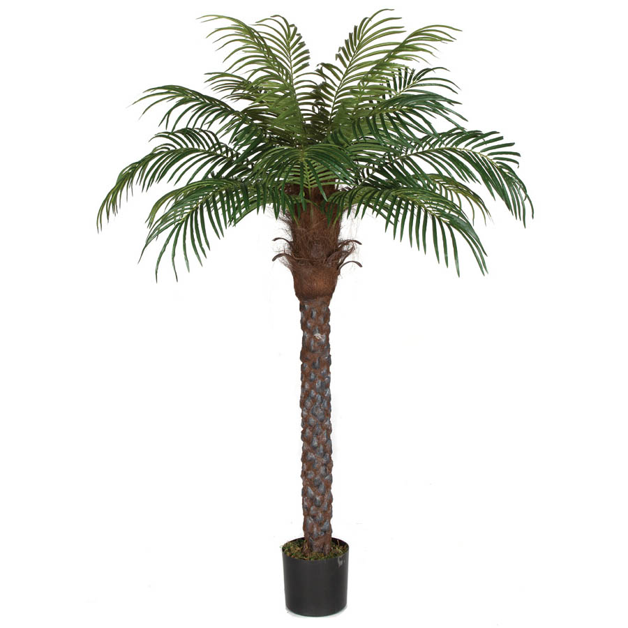 Artificial Palm Tree