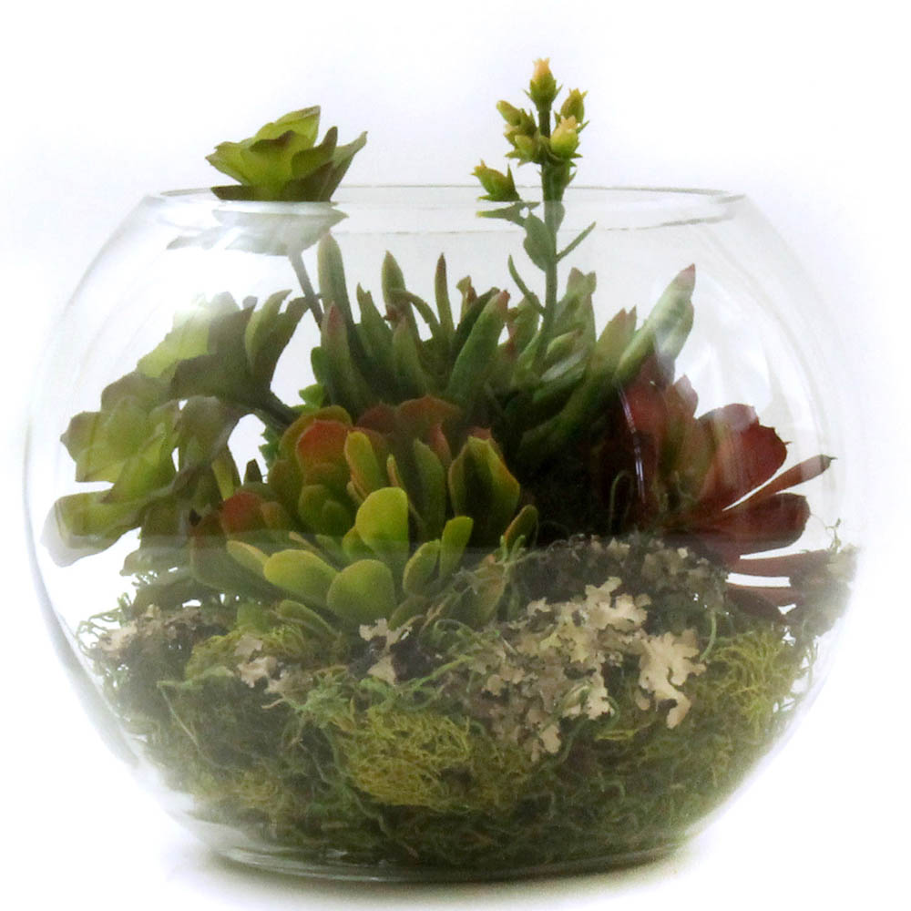 Succulent Terrarium