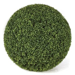 boxwood topiary