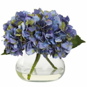 hydrangea