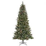 pine-christmas-trees