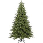 spruce-christmas-trees