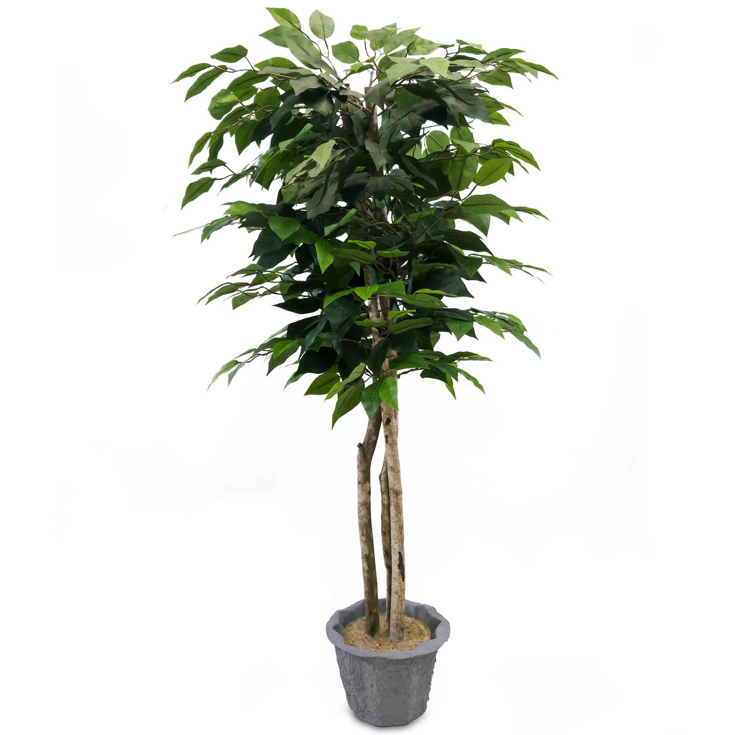 Lalu Home 4 Foot Silk Artificial Ficus Tree with Natural Trunks LLH2002