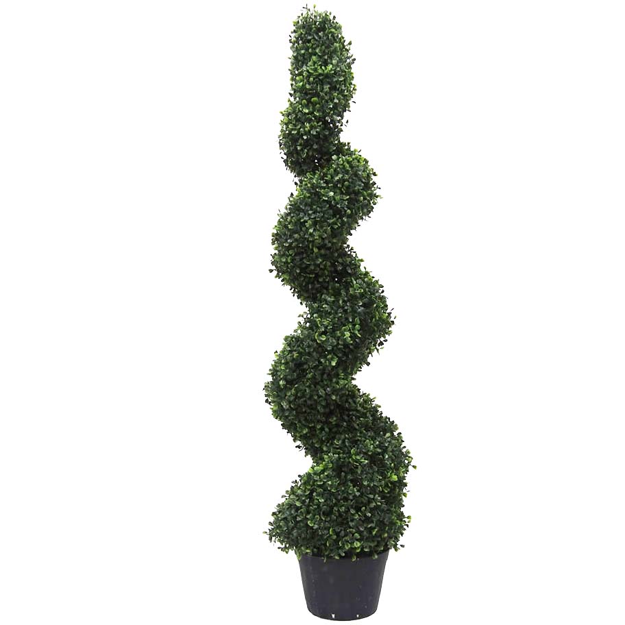 4 Foot Boxwood Spiral Topiary: Potted