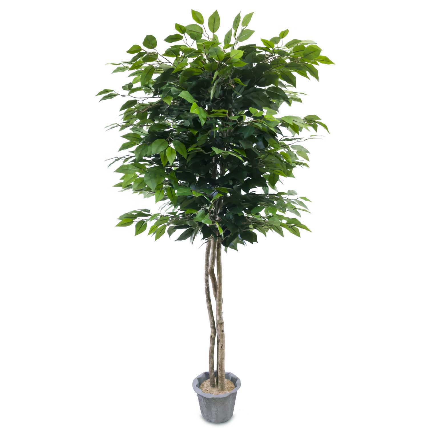 Lalu Home 5 Foot Lavish Silk Artificial Ficus Tree with Natural