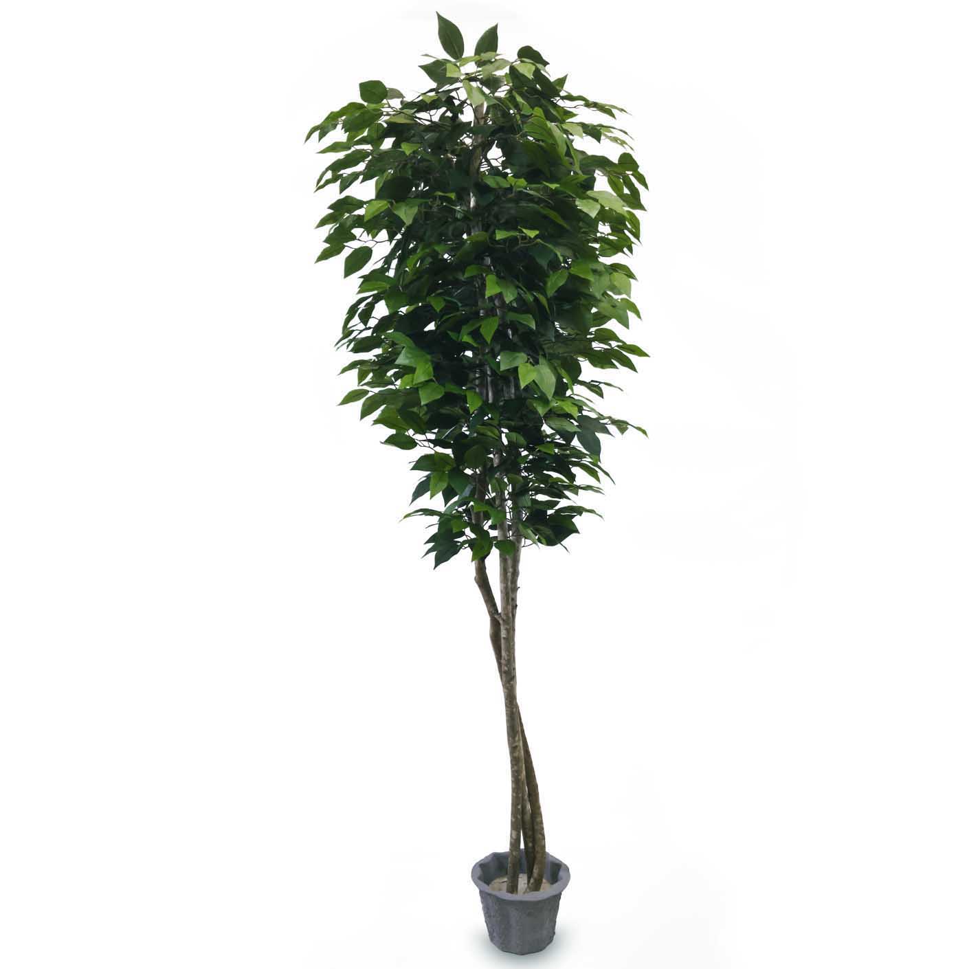 Lalu Home 6 Foot Slim Silk Artificial Ficus Tree with Natural Trunks