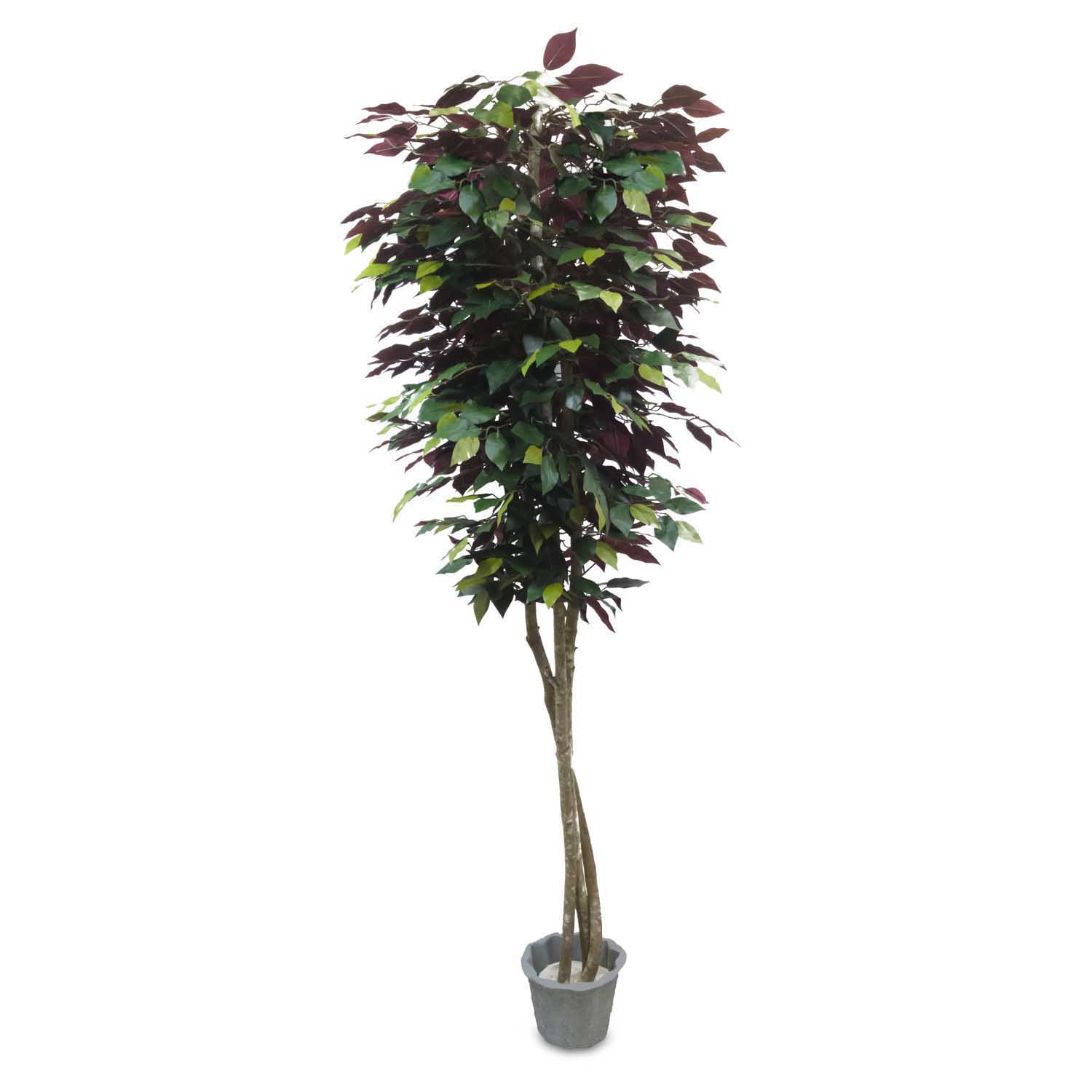 Lalu Home 6 Foot Wine Red/Green Slim Artificial Ficus Tree with