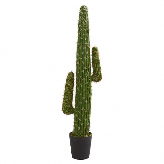 4.5 foot Artificial Cactus: Potted