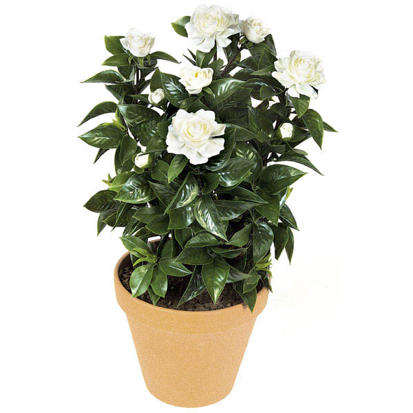24 inch Artificial Outdoor White Gardenia Bush: Unpotted