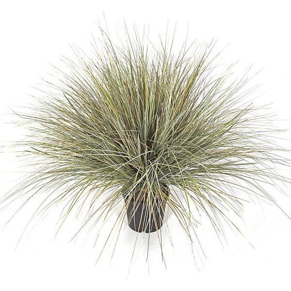 36 inch Green/Yellow Fire Retardant PVC Onion Grass: Potted
