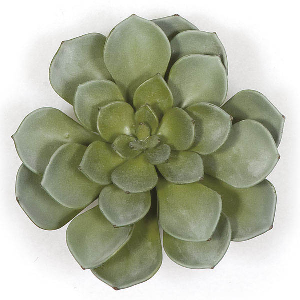 8x7 Inch Artificial Green Succulent