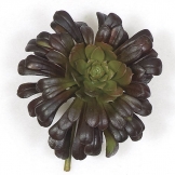 6X5 inch Artificial Burgundy/Green Succulent Stem