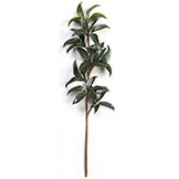 22 inch Outdoor Green Mountain Laurel Branch (Set of 12)