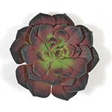 7 inch Artificial Burgundy Echeveria Succulent