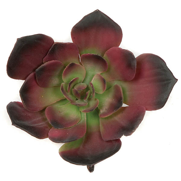 6 inch Artificial Burgundy Echeveria Succulent