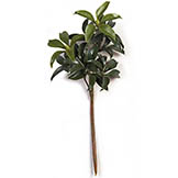 19 inch Outdoor Green Mountain Laurel Branch (Set of 12)