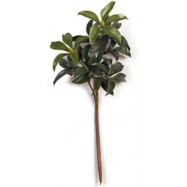 AGF1478 19 inch Outdoor Green Mountain Laurel Branch (Set  sku AGF1478