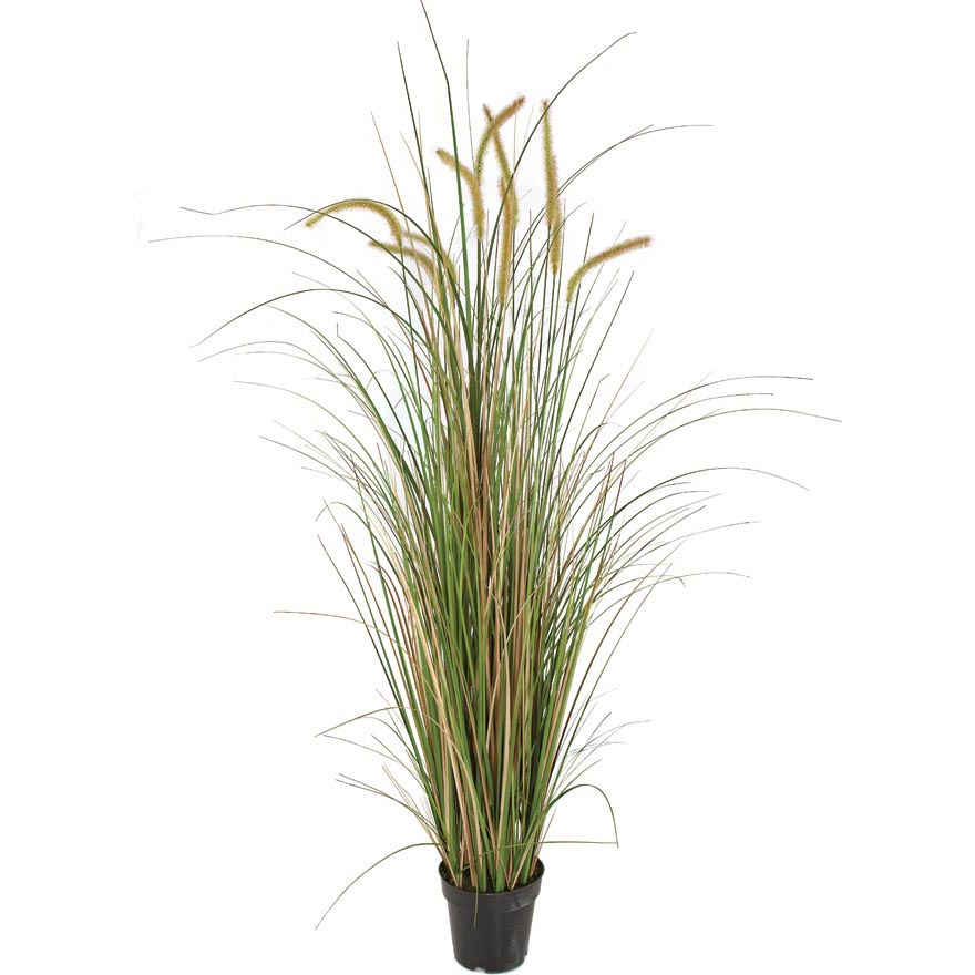 56 inch Fire Retardant Foxtail Onion Grass: Potted (Set of 2)