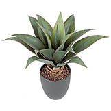 14 inch Artificial Agave Bush in Black Pot