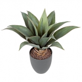 14 inch Artificial Agave Bush in Black Pot