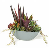 11 inch Artificial Mixed Succulents in Grey Oval Planter - CLOSEOUT FINAL SALE