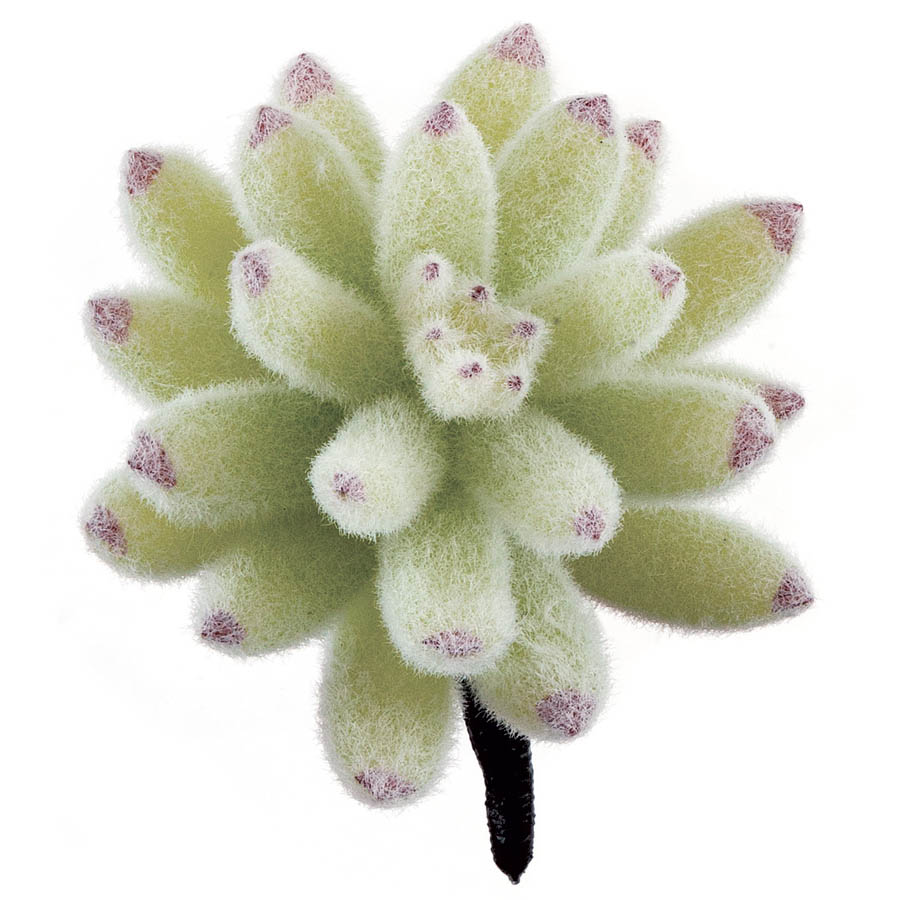 AGF1516 4 inch Artificial Flocked Agave Pick sku AGF1516